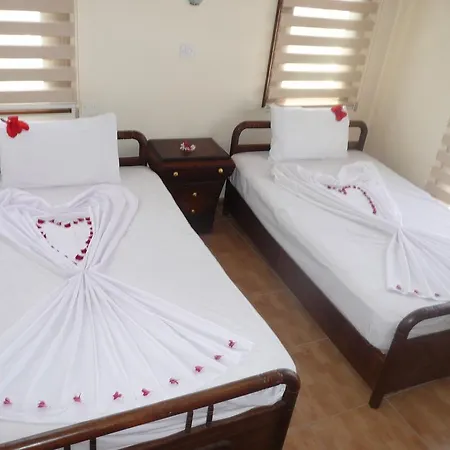 Apollon Vakantiehuis *